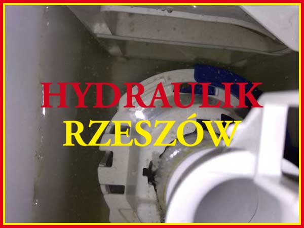 pasaż róży