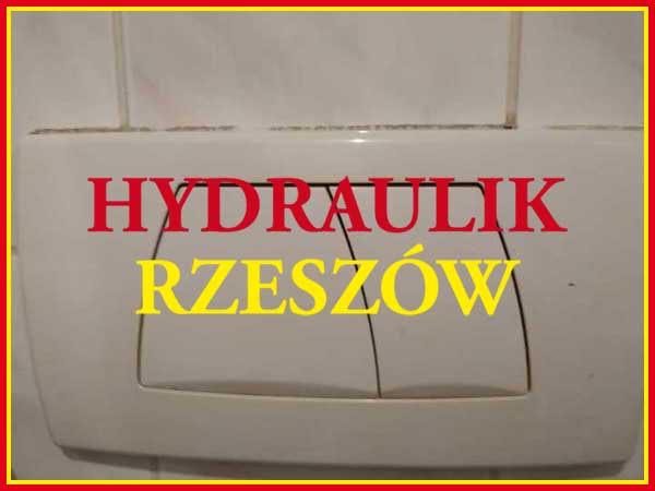zmywarka bosch awaria kranik