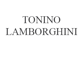 Naprawa TONINO LAMBORGHINI